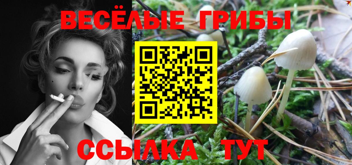 Нарьян-Мар  Галлюциногенные грибы Cubensis  Вход с VPN 