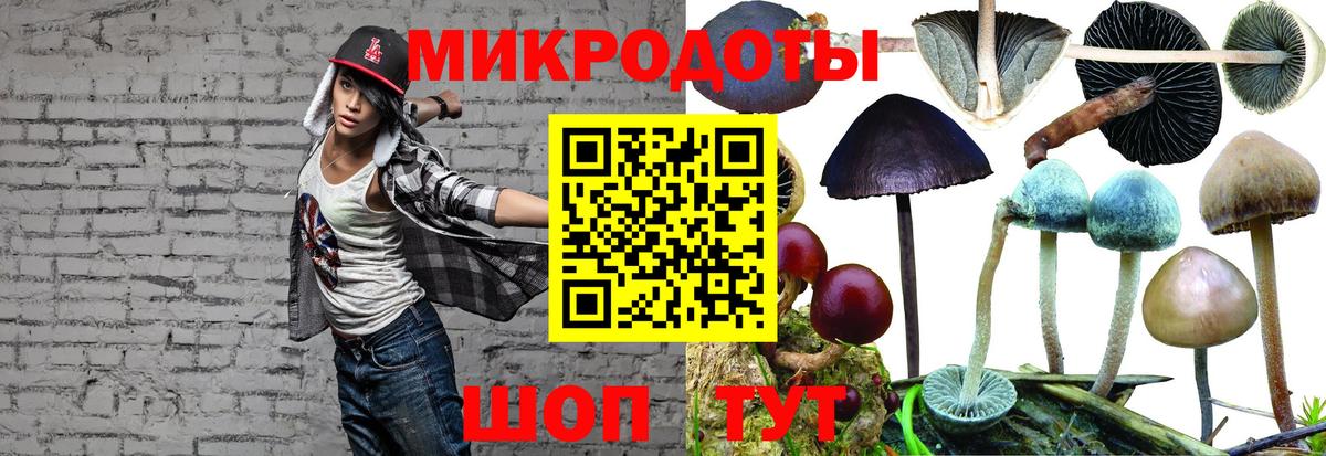Псилоцибиновые грибы Cubensis Нарьян-Мар